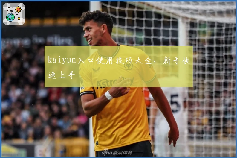 kaiyun入口使用技巧大全，新手快速上手