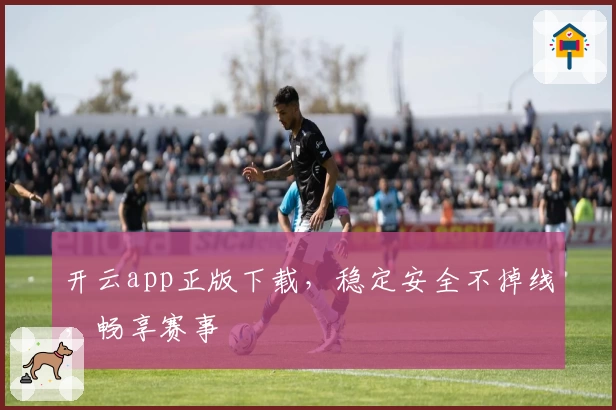 开云app正版下载，稳定安全不掉线，畅享赛事