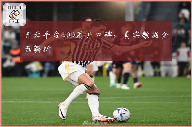 开云平台app用户口碑，真实数据全面解析