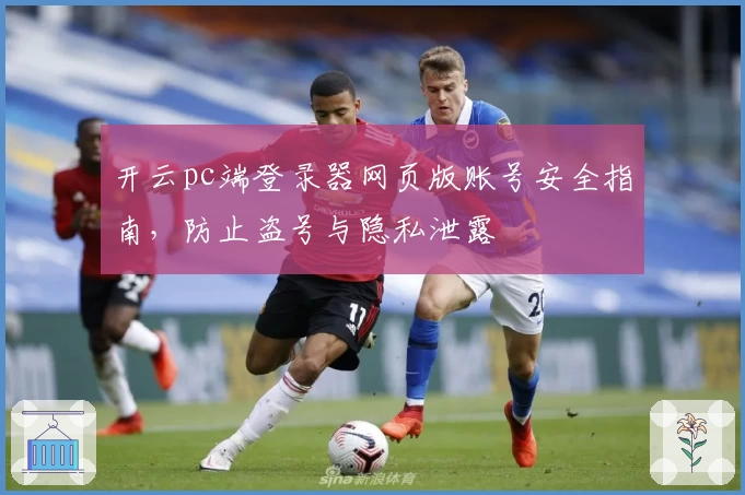 开云pc端登录器网页版账号安全指南，防止盗号与隐私泄露